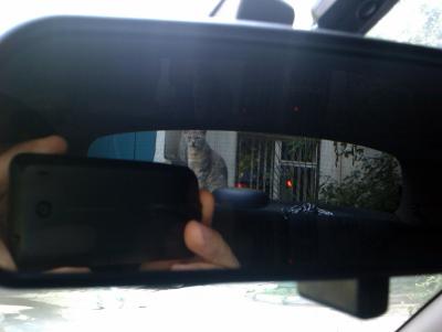 Прикрепленное изображение: IMG_20110701_102027_sm.jpg